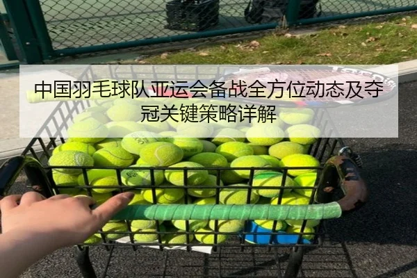 中国羽毛球队亚运会备战全方位动态及夺冠关键策略详解